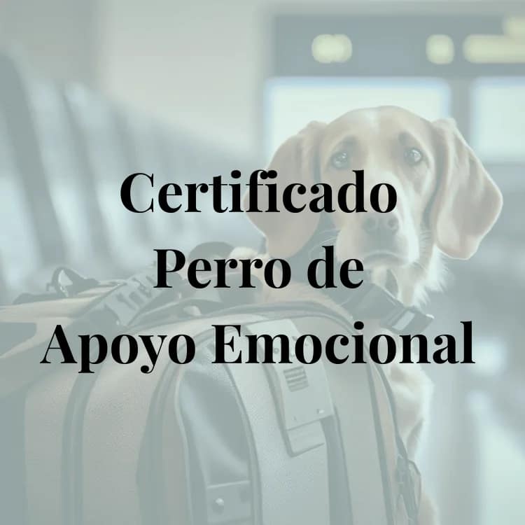 Certificado de Perro de Apoyo Emocional